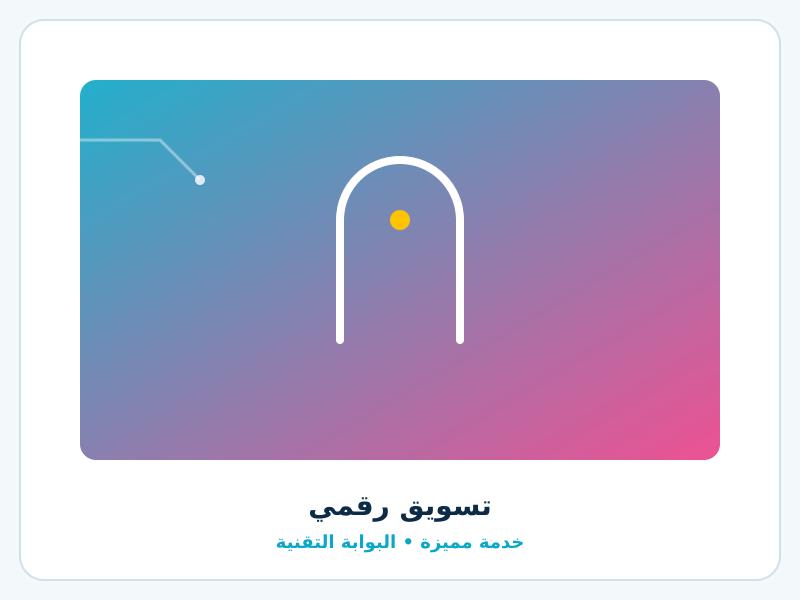 التسويق الرقمي وإدارة الحملات